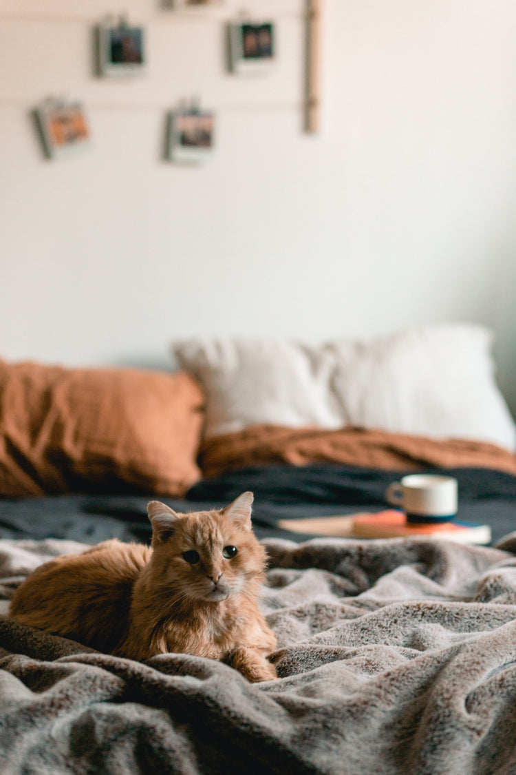 Gifts for Your Home